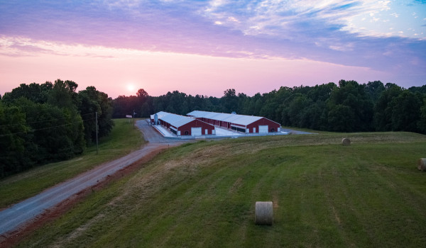 Poultry farm with biosecurity features