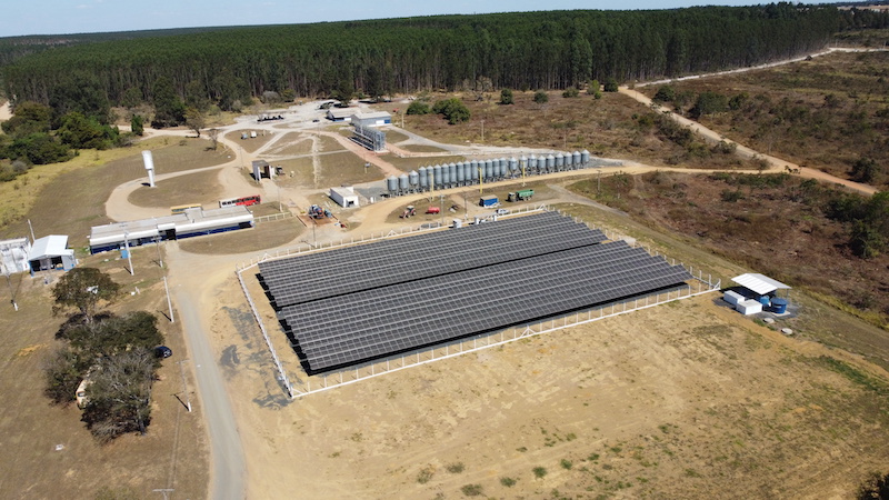 Clean energy, green forests – Aviagen Brazil lives its sustainability commitment