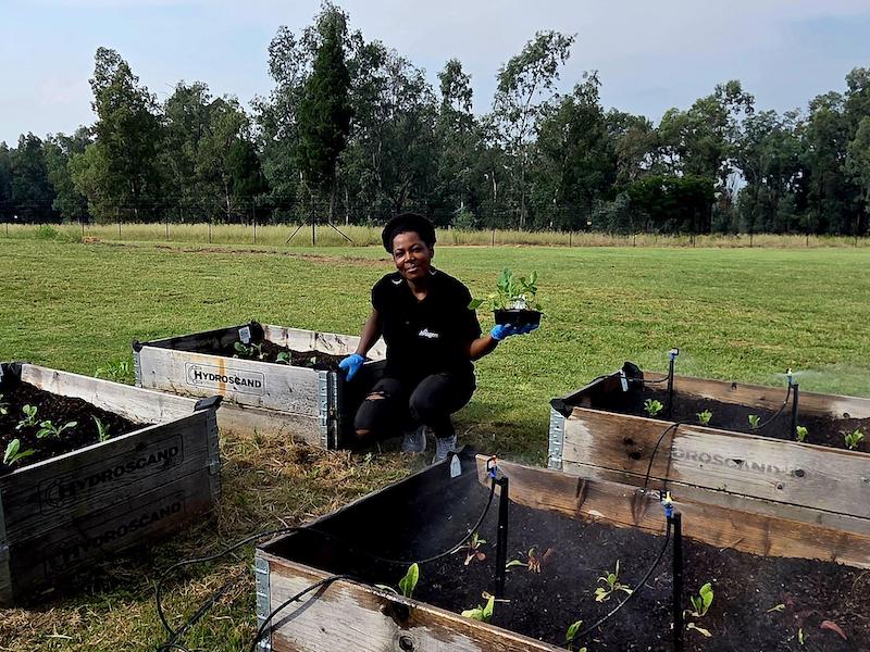 East Africa: Growing more than chickens