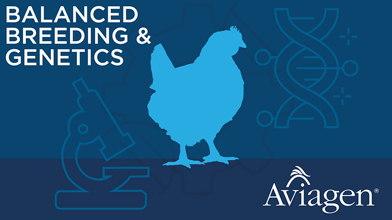 Genetic parameters of gait score in purebred broiler lines