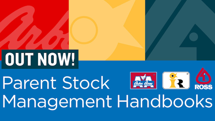 Aviagen Releases New Parent Stock Handbooks for Arbor Acres, Indian River and Ross Brands