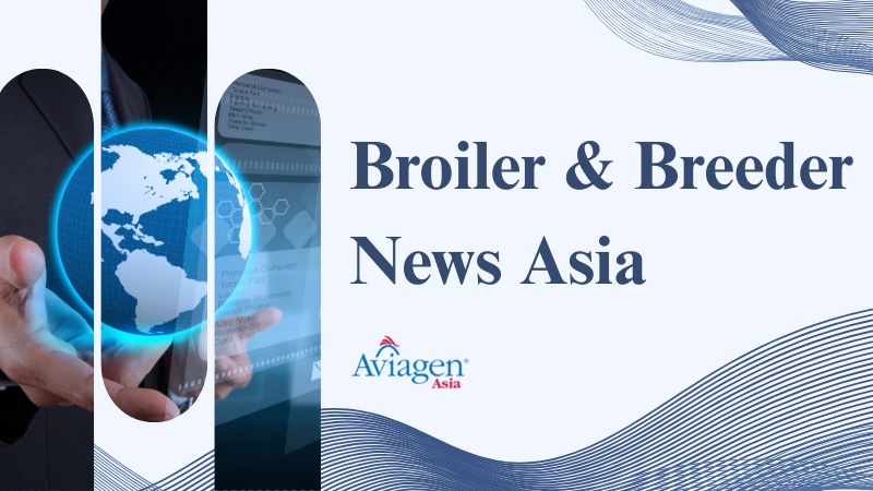Broiler & Breeder News Asia 17 – 23 Dec 2025